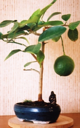 Oraz trochĂŞ cierpliwoÂści!