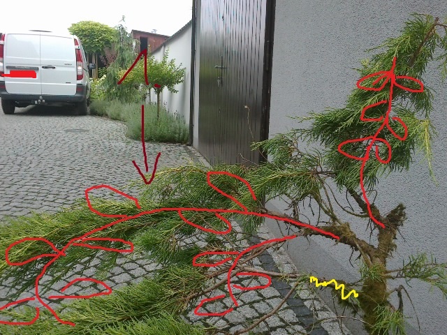 pomysł 2- 1.zostawic lewa strone mocna ją zgiac do dołu w kształcie takiej napiętej cieciwy