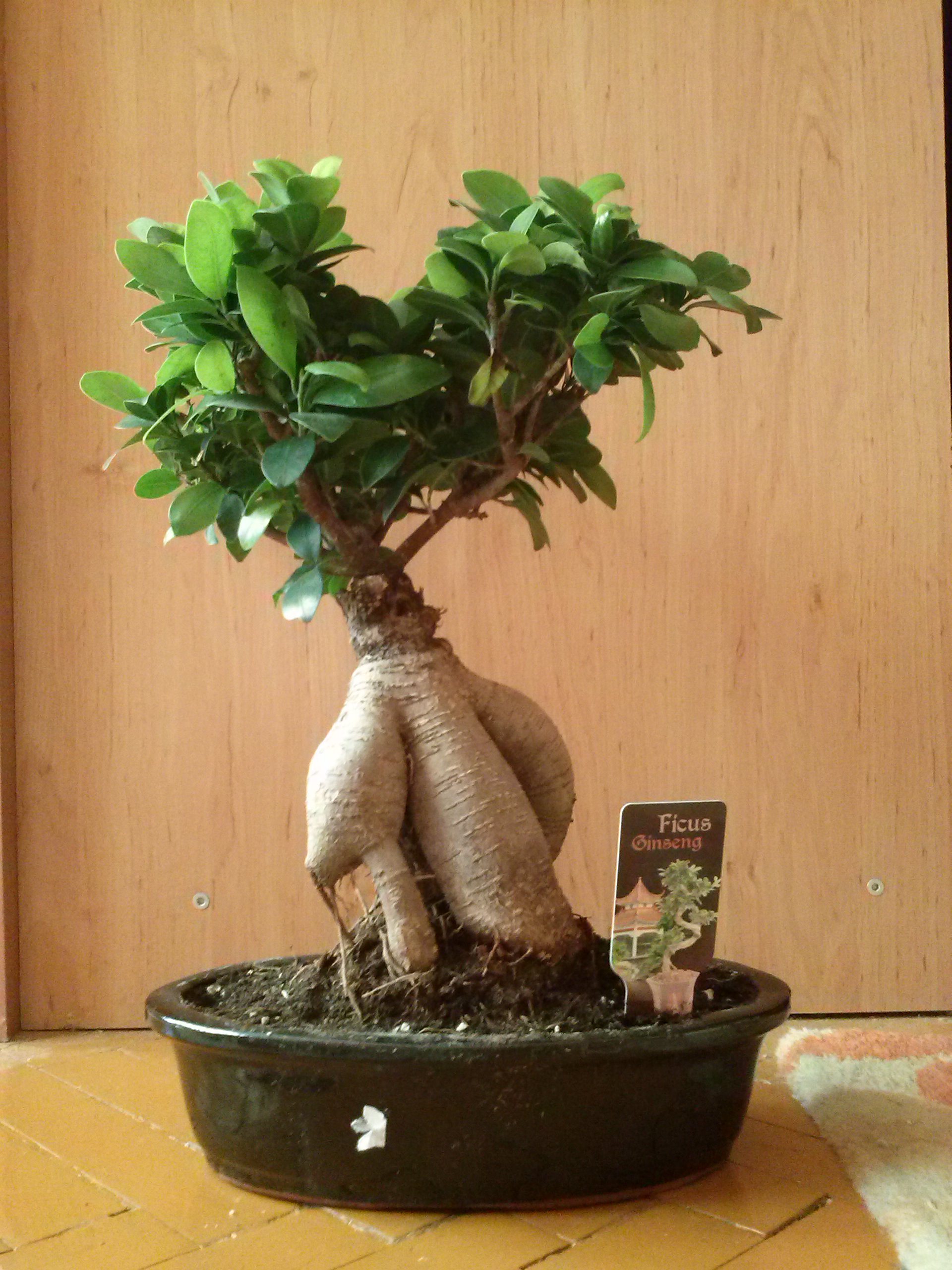 zaraz po zakupie w markecie