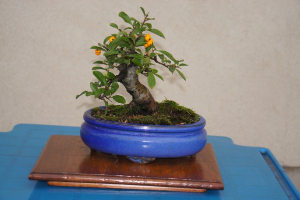 10.2013. Teraz widzę że trochę krzywo zdjęcie wyszło :)