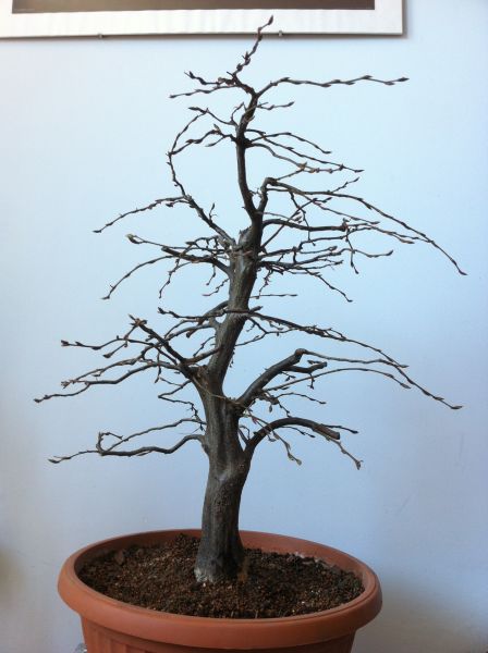 po pierwszym sezonie