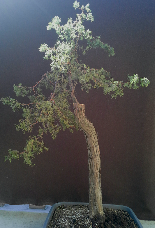 2014-04-27 18.03.55.png