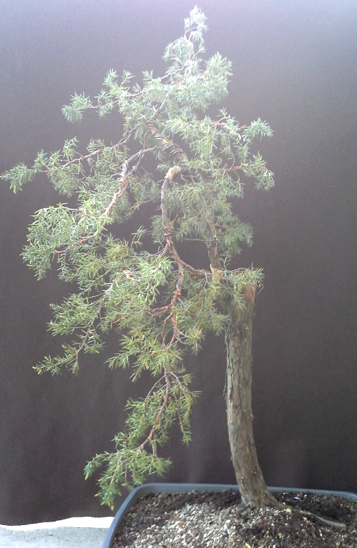 2014-04-27 20.05.33.png