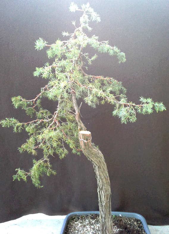 2014-04-27 20.06.46.png