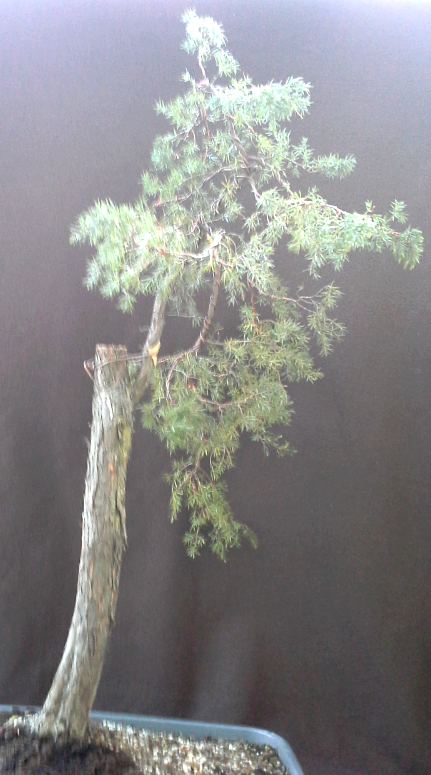 2014-04-27 20.07.50.png