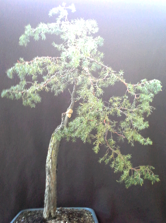 2014-04-27 20.09.29.png