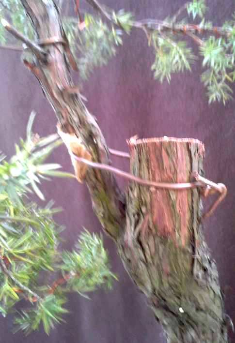 2014-04-27 20.10.21.png