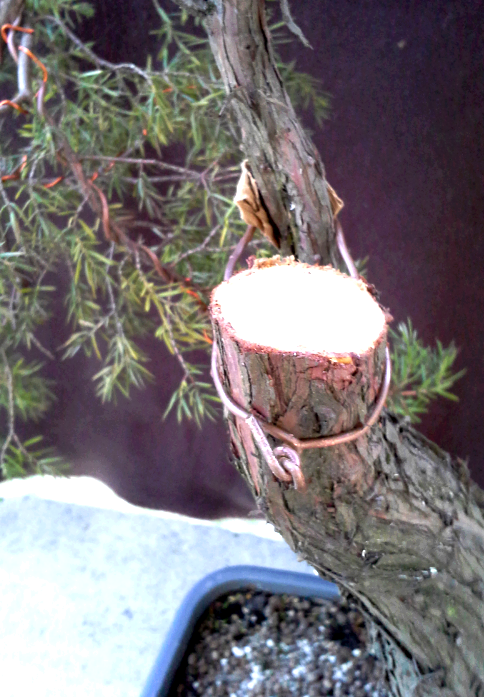 2014-04-27 20.11.20.png