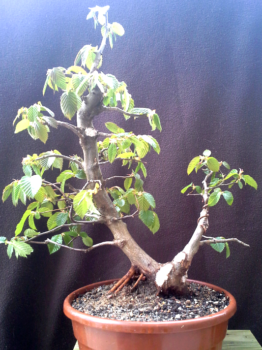 2014-05-11 16.29.10.png