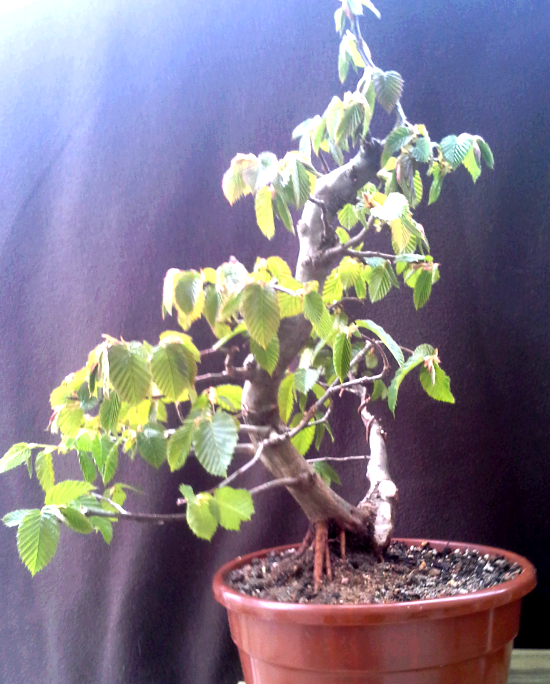 2014-05-11 16.30.08.png