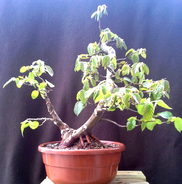 2014-05-11 16.31.48.png