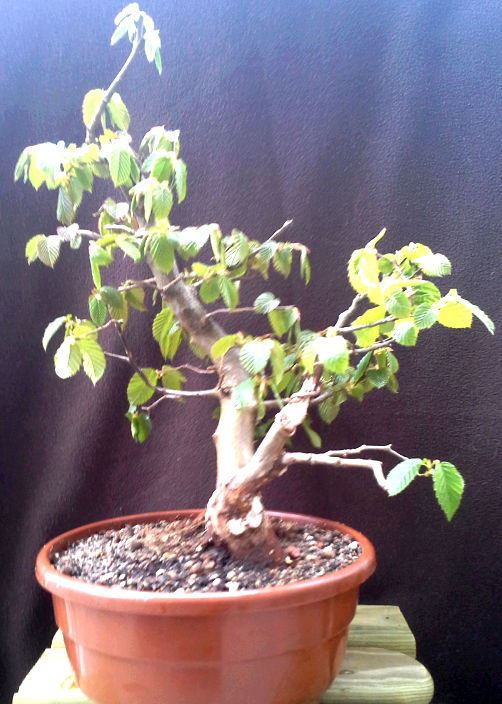 2014-05-11 16.32.36.png