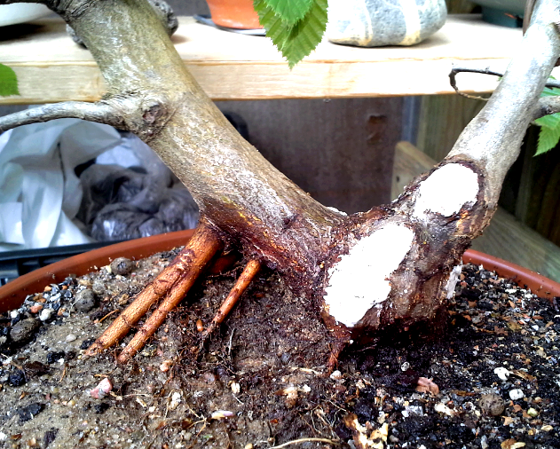 2014-05-11 16.33.37.png