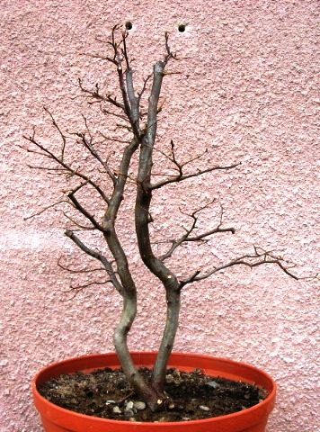 Chyba z tej strony bĂŞdzie przĂłd