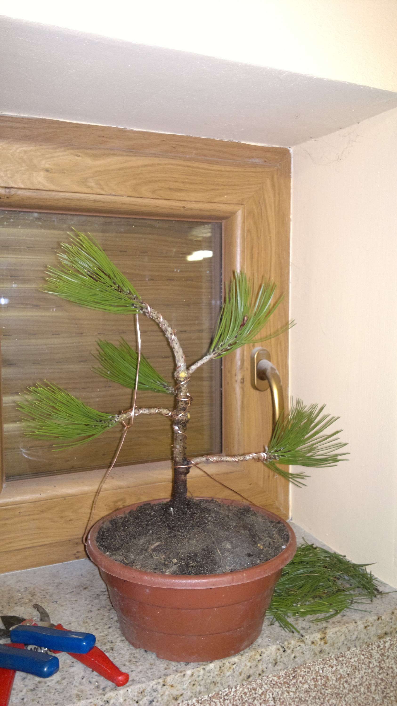 Po formowaniu- widok frontowy