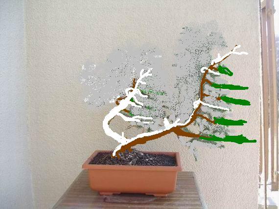 Jeden z pni poprowadzony jako caÂłkiem martwy.