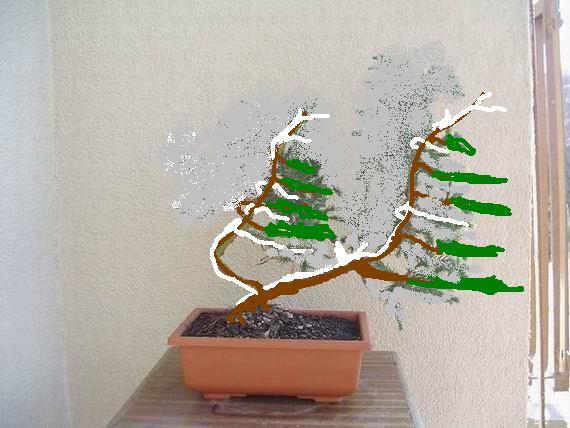 Oba prowadzone jako "miotane wiatrem"