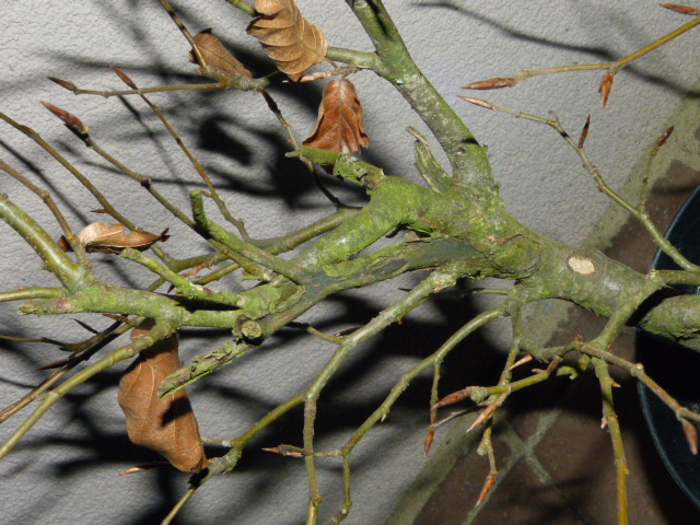 Dziwne złączenia. Co z nimi robić.