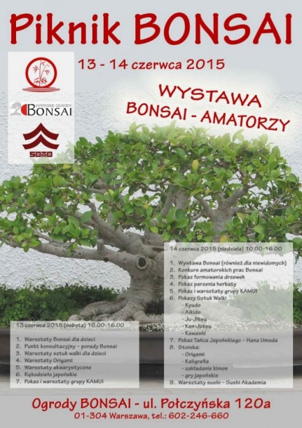 Piknik-Bonsai-2015-2a.jpg