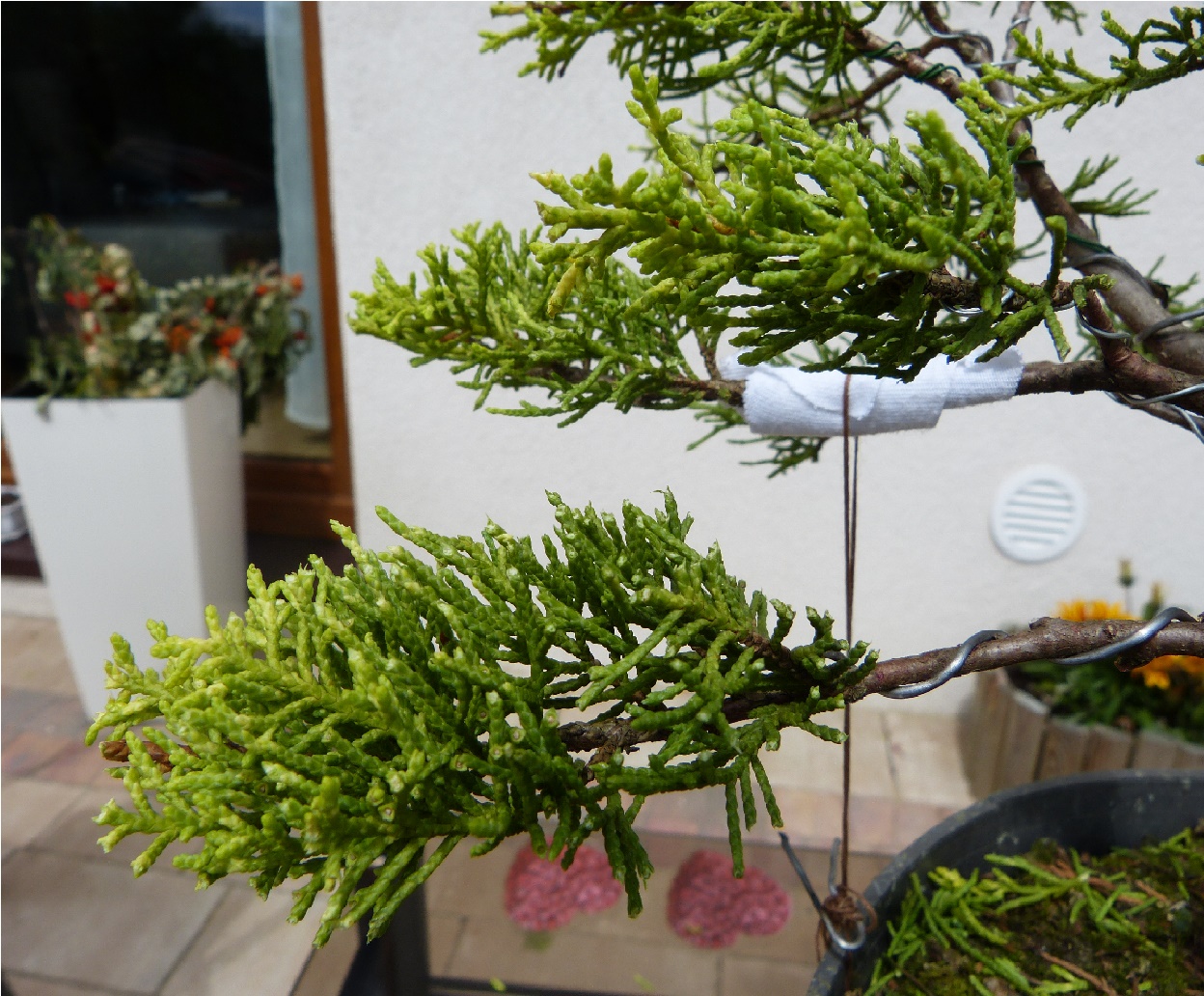 Wiem. Drutownie pozostawia wiele do życzenia...