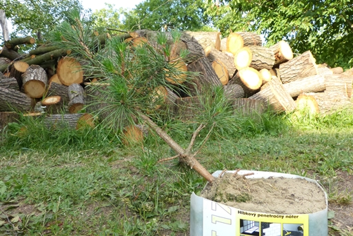 Za rok lub pół zrobię z niego tratwę.