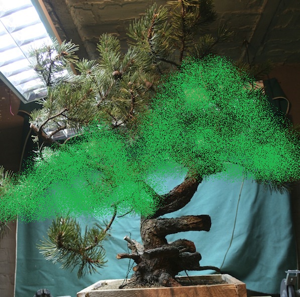 Wiem, że słaby vitr.