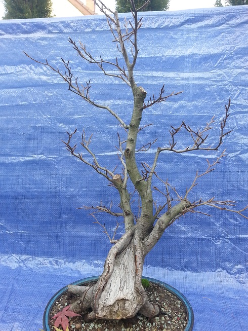 myślę ze to będzie front moim zdaniem inaczej nie pasuje