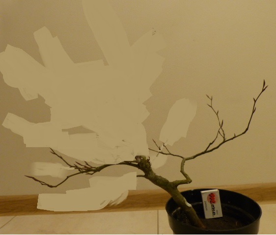 pół-kaskada z przeciwwagą po prawej