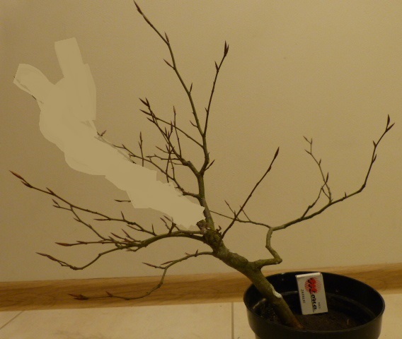 nie wiem jak nazwać ten styl