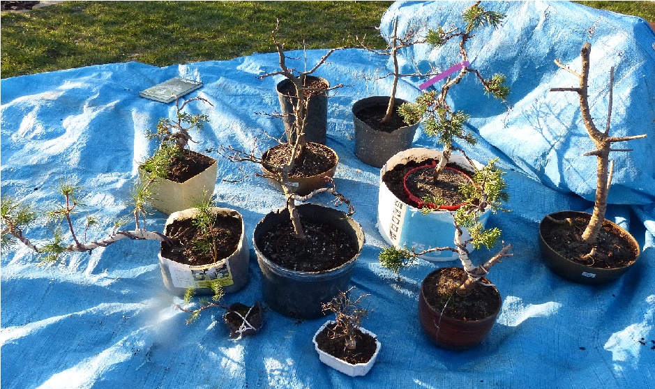 Co myślicie o przeniesieniu na wiosenne stanowiska?