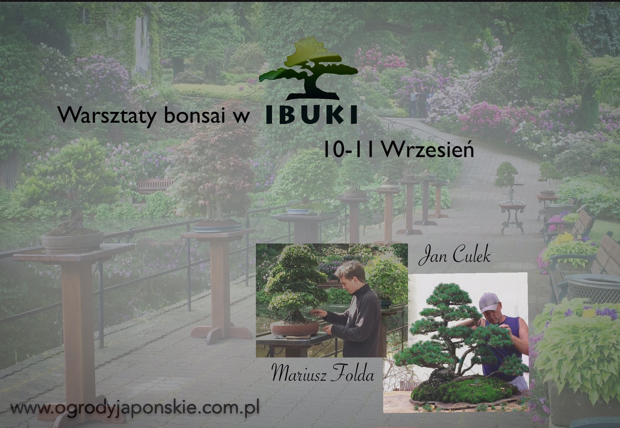 warsztaty 10i11 wrzesien 2016.jpg