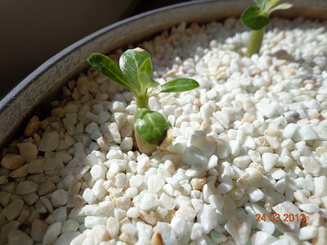 2013 rok bodajże luty