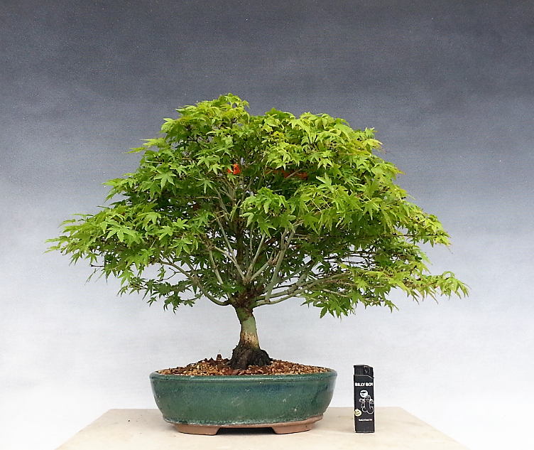 2017-07-09 16.29.47.png