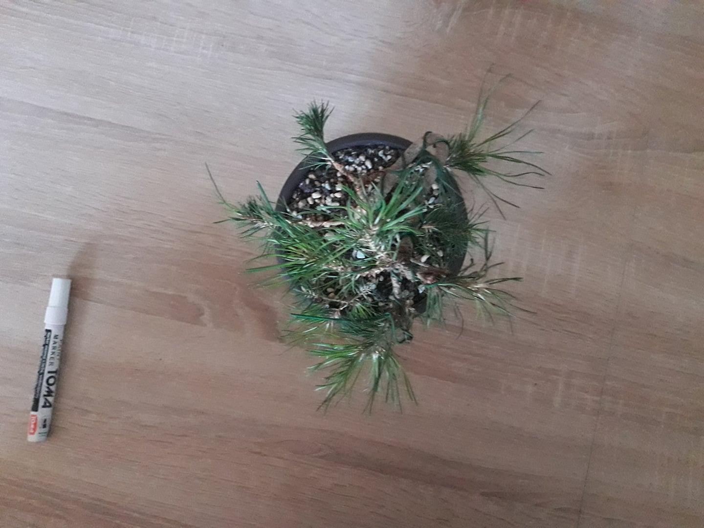 po drutowaniu widok z góry