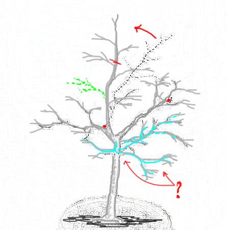 projekt ksztaÂłtowania