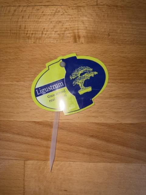 IMG_3076 Średni.jpeg