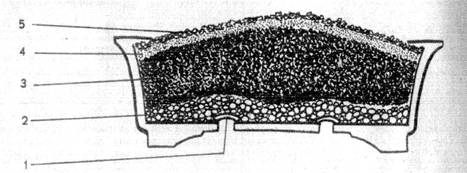 Rys. 5. Tak naleÂży przygotowaĂŚ pojemnik przed posadzeniem drzewka: 1 - siatka plastikowa, 2 - warstwa Âżwiru 3 - podstawowa mieszanka ziemi, 4 - warstwa ziemi Âżyznej, 5 - mech