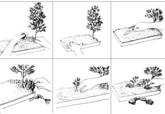 Rys. 5 PrzykÂład saikei.