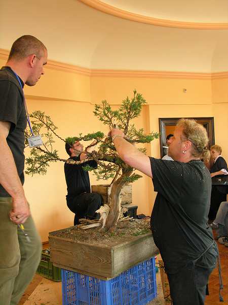 Kevin Wilson w swoim Âżywiole