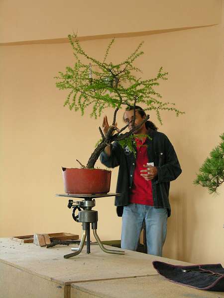 Jarek Lenarczyk omawia ksztaÂłtowanego przez siebie na pokazie modrzewia