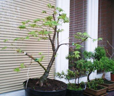 Stan po przyjeÂździe z KsiÂąÂża!