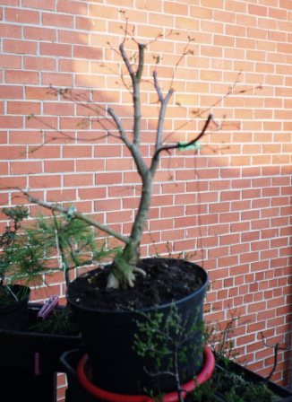 Stan przed wyjazdem do KsiÂąÂża!