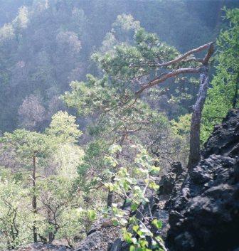 KsiÂąÂż- Natura_na_skale_1.JPG