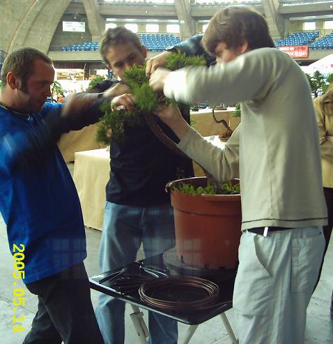 3 muszkieterowie jak jeden brat zmagali sie z kilometrami drutu. Po lewej Tomasz Rolny z prawej ÂŁukasz Lech i miedzy nimi ja.