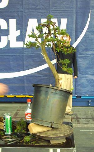 a tak wygladaÂła nasza kilkugodzinna praca