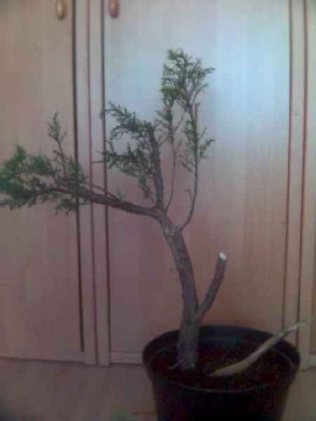 Po drastycznym ciĂŞciu