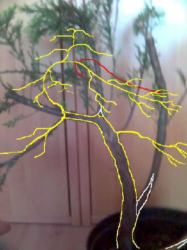 Taka maÂła koncepcja ;) (nie zwracaĂŚ uwagi na czerwonÂą kreskĂŞ:p)