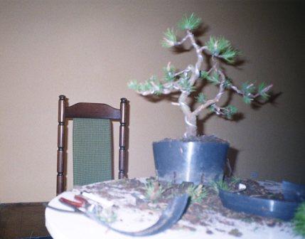 MÂłody_talent_Bolas_ gdzie on siĂŞ podziaÂł.JPG