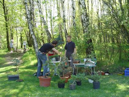 Praca w otoczeniu drzew i drzewek.
