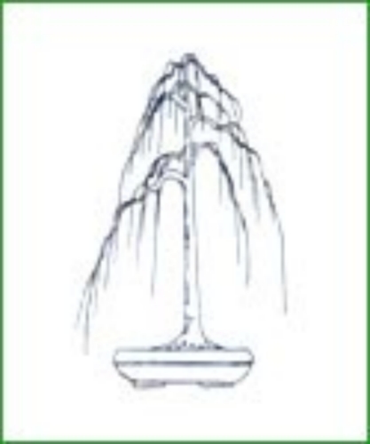 ChciaÂł bym go poprowadziĂŚ  w stylu CHOKKAN i mam nadziejĂŞ Âże za parĂŞ latek bĂŞdzie wyglÂądaÂł podobnie.